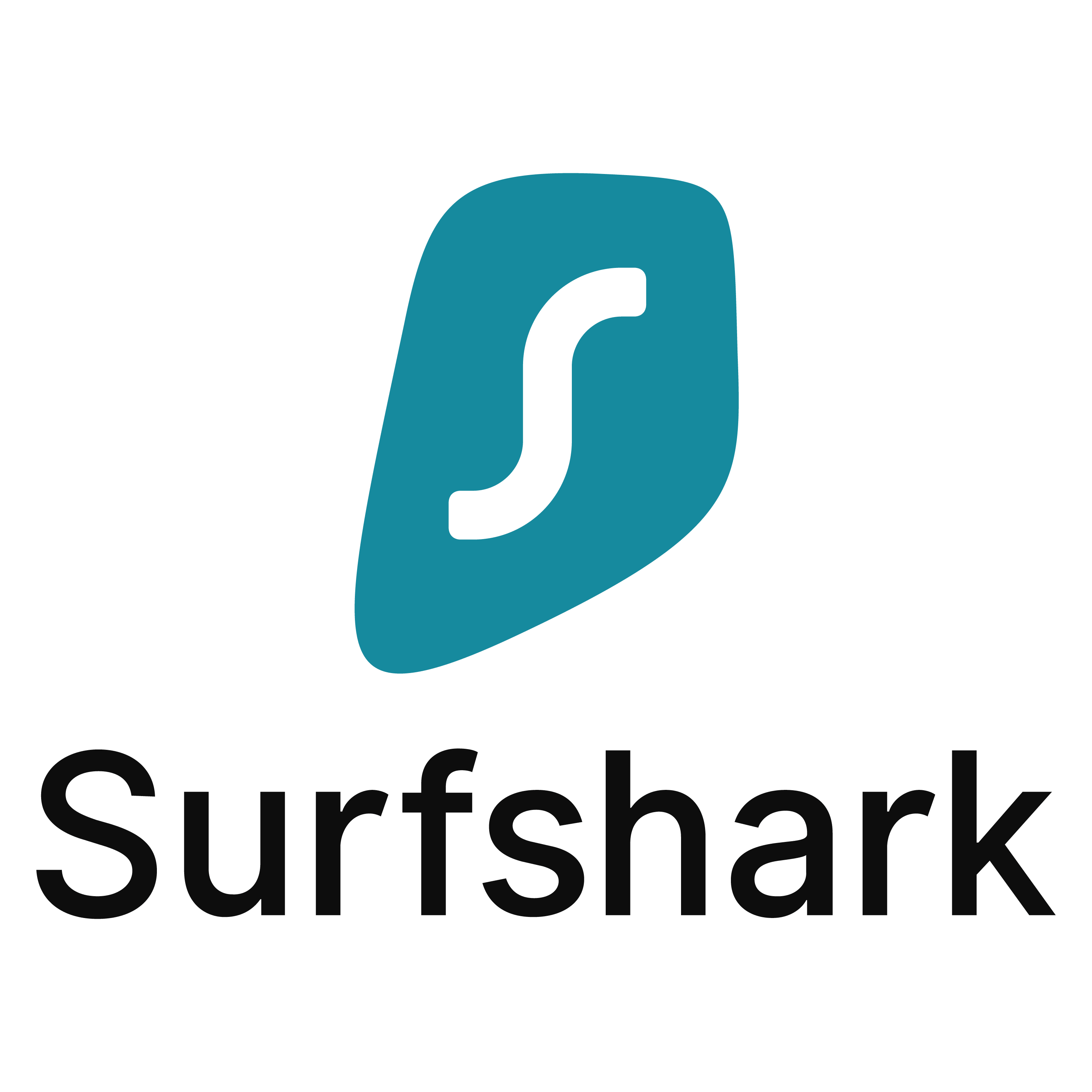 Logo SurfShark